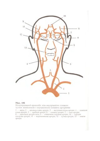 Нервові хвороби. Віничук С. М.,  2001.к-сть сторінок-397
