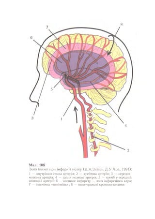 Нервові хвороби. Віничук С. М.,  2001.к-сть сторінок-397