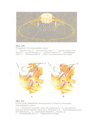 Нервові хвороби. Віничук С. М.,  2001.к-сть сторінок-397