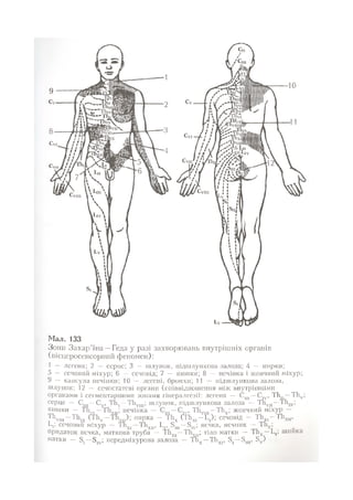 Нервові хвороби. Віничук С. М.,  2001.к-сть сторінок-397