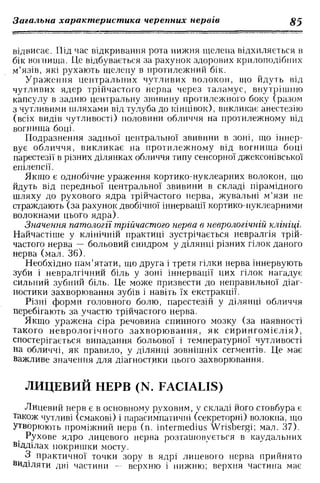 Нервові хвороби. Віничук С. М.,  2001.к-сть сторінок-397