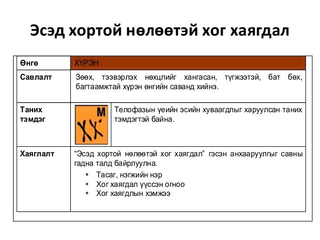 хог хаягдэлын менежмент