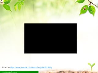 Video by https://www.youtube.com/watch?v=jyRw597JBVg 
www.themegallery.com 
 