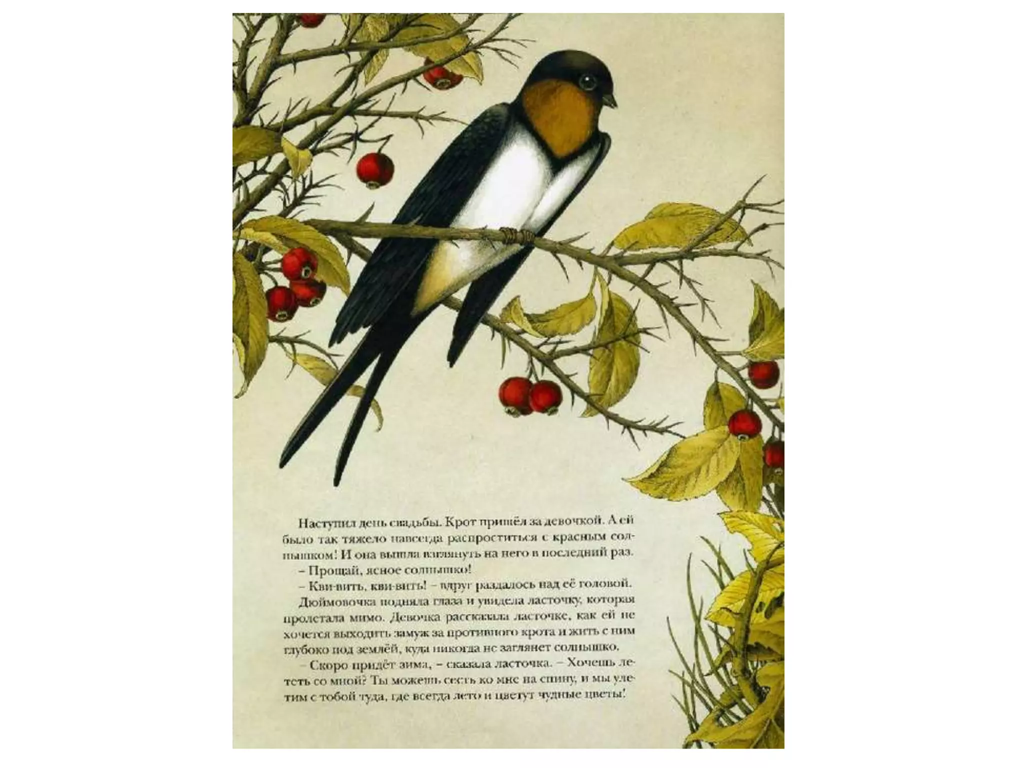 баграм ибатуллин