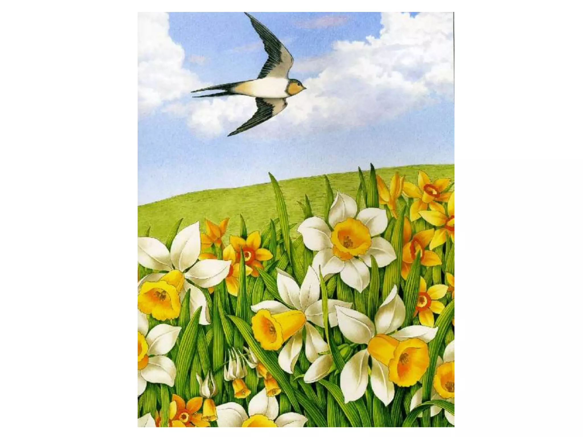 баграм ибатуллин