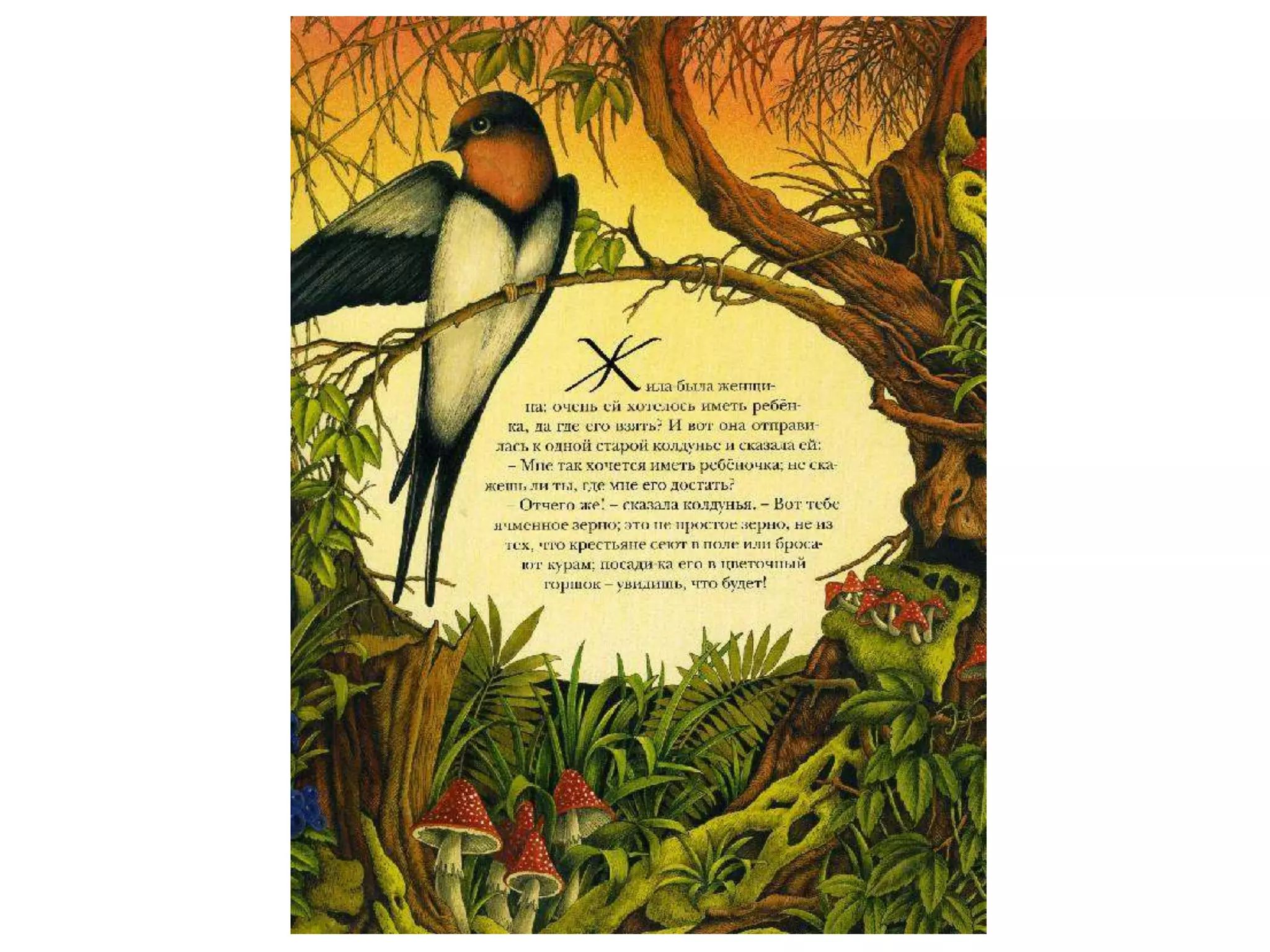 баграм ибатуллин