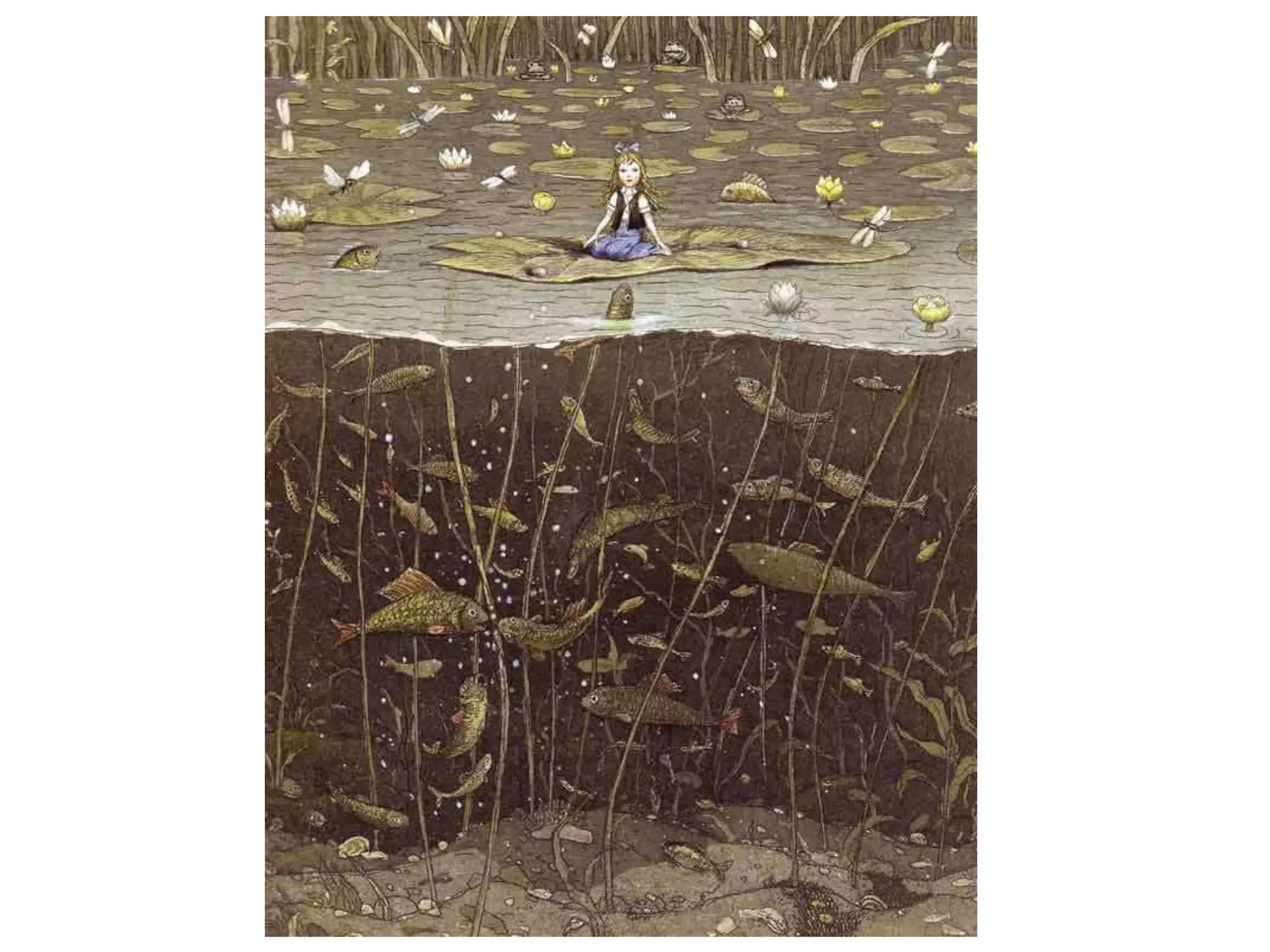 борис диодоров