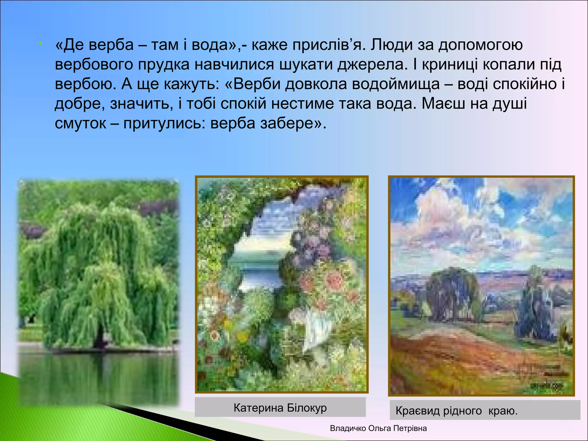 рослини символи україни | PPT