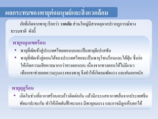 ผลกระทบของพายุต่อมนุษย์และสิ่งแวดล้อม 
ภัยที่เกิดจากพายุ เรียกว่า วาตภัย ส่วนใหญ่มีสาเหตุจากปรากฏการณ์ทาง 
ธรรมชาติ ดังนี้ 
พายุหมุนเขตร้อน 
• พายุที่พัดเข้าสู่ประเทศไทยตอนบนจะเป็นพายุดีเปรสชัน 
• พายุที่พัดเข้าสู่ตอนใต้ของประเทศไทยจะเป็นพายุโซนร้อนและไต้ฝุ่น ซึ่งก่อ 
ให้เกิดความเสียหายมากกว่าทางตอนบน เนื่องจากทางตอนใต้ไม่มีแนว 
เทือกเขาช่วยลดความรุนแรงของพายุ จึงทา ให้เกิดลมพัดแรง และฝนตกหนัก 
พายุฤดูร้อน 
• เกิดในช่วงที่อากาศร้อนอบอ้าวติดต่อกัน แล้วมีกระแสอากาศเย็นจากประเทศจีน 
พัดมาปะทะกัน ทา ให้เกิดฝนฟ้าคะนอง มีพายุลมแรง และอาจมีลูกเห็บตกได้ 
 