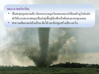 ลมงวง (ทอร์นาโด) 
• เป็นพายุหมุนขนาดเล็ก เกิดจากการหมุนเวียนของลมภายใต้เมฆคิวมูโลนิมบัส 
ทา ให้กระแสอากาศหมุนเป็นลา พุ่งขึ้นสู่ท้องฟ้าหรือย้อยลงมาจากฐานเมฆ 
• ทา ความเสียหายแก่บ้านเรือน ต้นไม้ และสิ่งปลูกสร้างเป็นวงกว้าง 
 