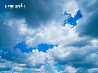 เมฆและฝน 
 