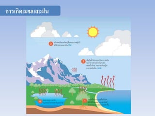 การเกิดเมฆและฝน 
 