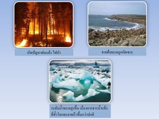 เกิดปัญหาฝนแล้ง ไฟป่า ชายฝั่งทะเลถูกกัดเซาะ 
ระดับน้า ทะเลสูงขึ้น เนื่องจากธารน้า แข็ง 
ที่ขั้วโลกละลายเร็วขึ้นกว่าปกติ 
 