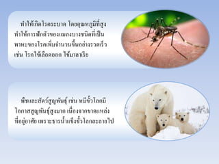 ทา ให้เกิดโรคระบาด โดยอุณหภูมิที่สูง 
ทา ให้การฟักตัวของแมลงบางชนิดที่เป็น 
พาหะของโรคเพิ่มจา นวนขึ้นอย่างรวดเร็ว 
เช่น โรคไข้เลือดออก ไข้มาลาเรีย 
พืชและสัตว์สูญพันธุ์ เช่น หมีขั้วโลกมี 
โอกาสสูญพันธุ์สูงมาก เนื่องจากขาดแหล่ง 
ที่อยู่อาศัย เพราะธารน้า แข็งขั้วโลกละลายไป 
 