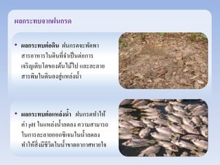 ผลกระทบจากฝนกรด 
• ผลกระทบต่อดิน ฝนกรดจะพัดพา 
สารอาหารในดินที่จาเป็นต่อการ 
เจริญเติบโตของต้นไม้ไป และละลาย 
สารพิษในดินลงสู่แหล่งน้า 
• ผลกระทบต่อแหล่งน้า ฝนกรดทา ให้ 
ค่า pH ในแหล่งน้า ลดลง ความสามารถ 
ในการละลายออกซิเจนในน้า ลดลง 
ทา ให้สิ่งมีชีวิตในน้า ขาดอากาศหายใจ 
 