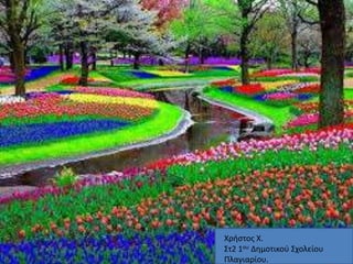Χρήστος Χ. 
Στ2 1ου Δημοτικού Σχολείου 
Πλαγιαρίου. 
