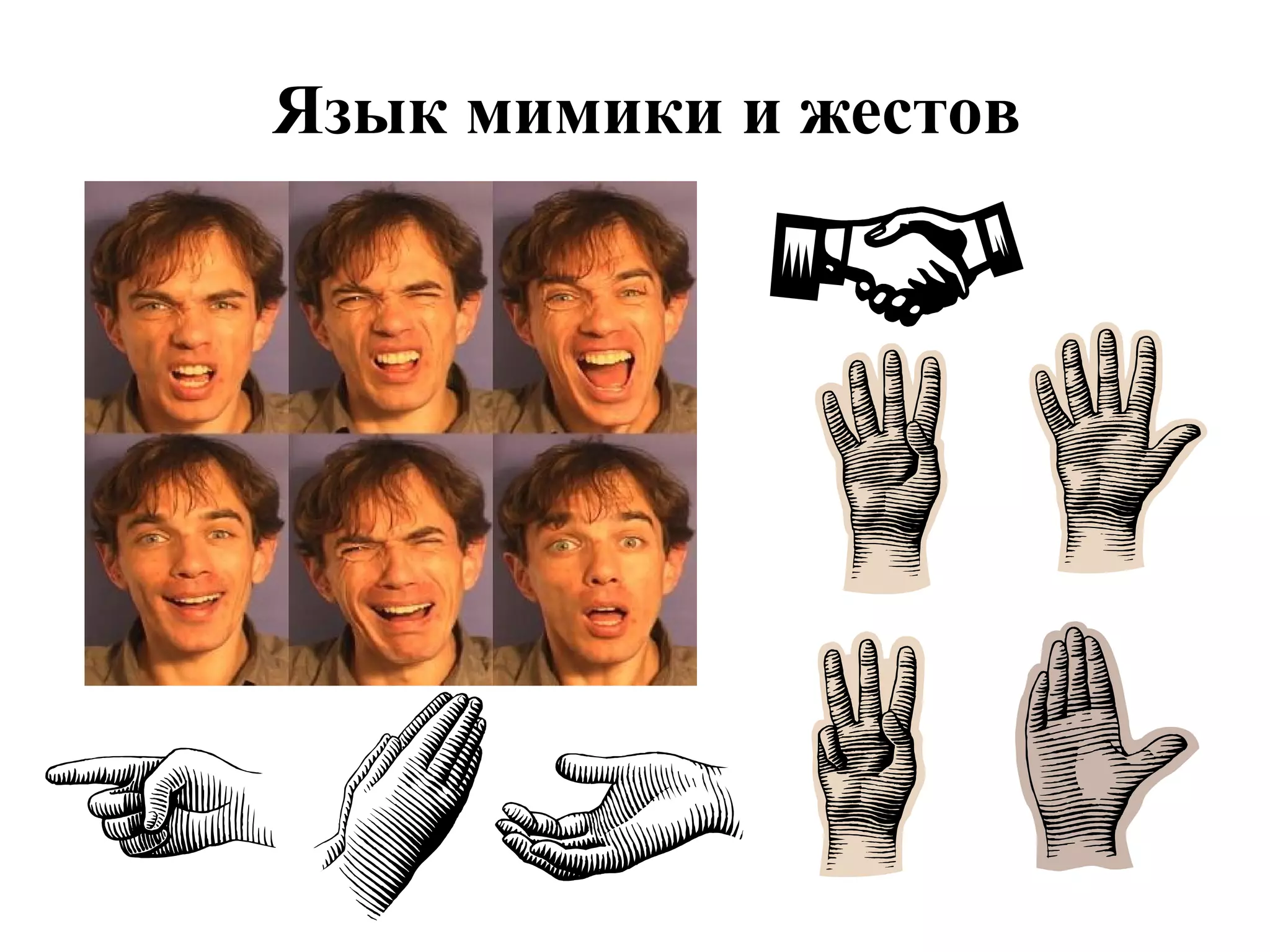 Язык мимики и жестов 
 