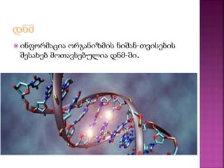  ინფორმაცია ორგანიზმის ნიშან–თვისების 
შესახებ მოთავსებულია დნმ–ში. 
 