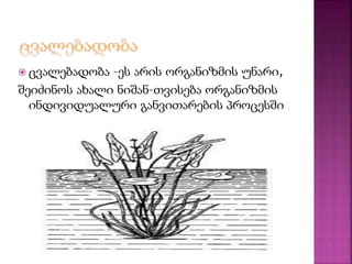  ცვალებადობა –ეს არის ორგანიზმის უნარი, 
შეიძინოს ახალი ნიშან–თვისება ორგანიზმის 
ინდივიდუალური განვითარების პროცესში 
 