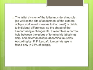  The initial division of the latissimus dorsi muscle 
(as well as the site of attachment of the external 
oblique abdominal muscles to iliac crest) is divide 
to individual differences, so the shape of the 
lumbar triangle changeable. It resembles a narrow 
hole between the edges of forming his latissimus 
dorsi and external oblique abdominal muscles. 
According by P. F. Lesgaft, lumbar triangle is 
found only in 75% of people. 
 