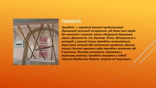 ТРЕМБІТА 
Трембіта — народний духовий мундштуковий 
( дульцевий) музичний інструмент, рід дерев' яної труби 
без вентилів і клапанів, інколи обгорнутої березовою 
корою. Довжина до 3 м, діаметр 30 мм, збільшується у 
розтрубі; у вузький кінець трембіти вставляється 
дерев' яний, роговий або металевий мундштук ( дульце, 
пищик). Висота звукового ряду трембіти залежить від 
її величини. Мелодію виконують переважно у 
верхньому регістрі. Трембіта поширена у східній 
частині Українських Карпат, зокрема на Гуцульщині. 
 