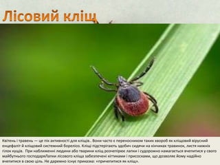 Квітень і травень — це пік активності для кліщів.. Вони часто є переносником таких хвороб як кліщовий вірусний 
енцефаліт й кліщовий системний бореліоз. Кліщі підстерігають здобич сидячи на кінчиках травинок, листя нижніх 
гілок кущів. При наближенні людини або тварини кліщ розчепірює лапки і судорожно намагається вчепитися у свого 
майбутнього господаряЛапки лісового кліща забезпечені кігтиками і присосками, що дозволяє йому надійно 
вчепитися в свою ціль. Не даремно існує приказка: «причепитися як кліщ». 
 