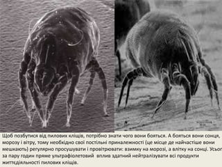 Щоб позбутися від пилових кліщів, потрібно знати чого вони бояться. А бояться вони сонця, 
морозу і вітру, тому необхідно свої постільні приналежності (це місце де найчастіше вони 
мешкають) регулярно просушувати і провітрювати: взимку на морозі, а влітку на сонці. Усього 
за пару годин пряме ультрафіолетовий вплив здатний нейтралізувати всі продукти 
життєдіяльності пилових кліщів. 
 