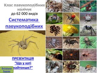 до 62 000 видів 
ПРЕЗЕНТАЦІЯ 
“Що у хаті 
Внітрішня найтонше?” 
будова 
 
