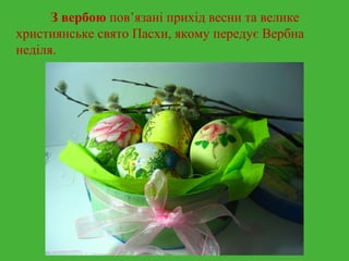 З вербою пов’язані прихід весни та велике 
християнське свято Пасхи, якому передує Вербна 
неділя. 
 