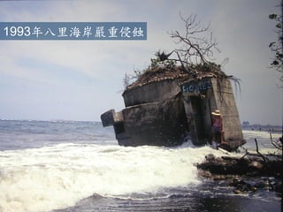 1993年八里海岸嚴重侵蝕  