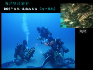 海洋環境觀察 
1993年公視─瀛海水晶宫 《水中攝影》 
鰻鯰  