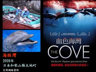 海豚灣 
2009年 
日本和歌山縣太地町 
引用網路資料  