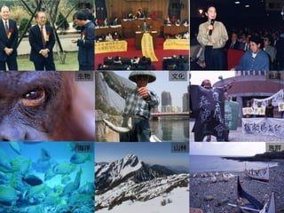 工作經驗 
經濟 
政治 
藝文 
生物 
文化 
社運 
海洋 
山林 
族群  