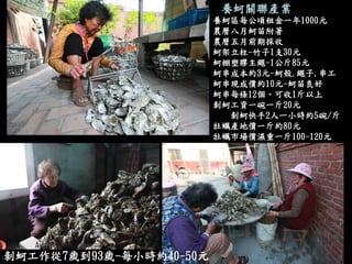 養蚵關聯產業 
剝蚵工作從7歲到93歲-每小時約40-50元 
養蚵區每公頃租金一年1000元 
農曆八月蚵苗附著 
農曆五月前期採收 
蚵架立柱-竹子1支30元 
蚵棚塑膠主繩-1公斤85元 
蚵串成本約3元-蚵殼.繩子.串工 
蚵串現成價約10元-蚵苗良好 
蚵串每條12個、可收1斤以上 
剝蚵工資一碗一斤20元 
剝蚵快手2人一小時約5碗/斤 
牡蠣產地價一斤約80元 
牡蠣市場價濕重一斤100-120元  