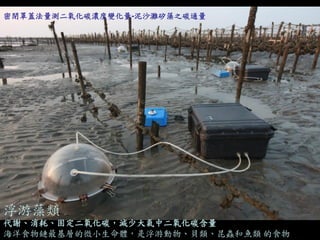 代謝、消耗、固定二氧化碳，減少大氣中二氧化碳含量 
海洋食物鏈最基層的微小生命體，是浮游動物、貝類、昆蟲和魚類 的食物 
浮游藻類 
密閉罩蓋法量測二氧化碳濃度變化量-泥沙灘矽藻之碳通量  