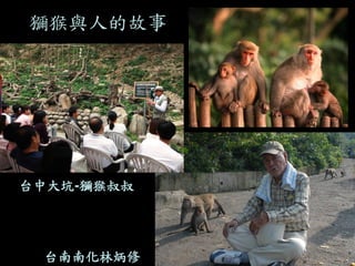 獼猴與人的故事 
台南南化林炳修 
台中大坑-獼猴叔叔  