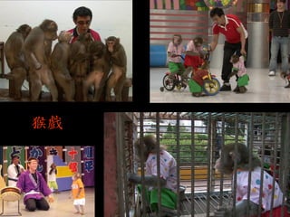 猴戲  