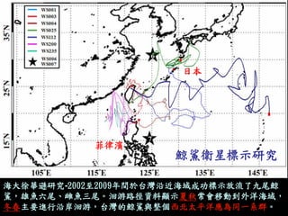 海大徐華遜研究-2002至2009年間於台灣沿近海域成功標示放流了九尾鯨 
鯊，雄魚六尾、雌魚三尾。洄游路徑資料顯示夏秋常會移動到外洋海域， 
冬春主要進行沿岸洄游，台灣的鯨鯊與整個西北太平洋應為同一系群。 
鯨鯊衛星標示研究 
菲律濱 
日本 
 