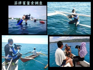 菲律賓董索調查  