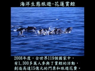 海洋生態旅遊-花蓮賞鯨 
2008年度，全世界119個國家中， 
有1,300多萬人參與了賞鯨的活動， 
創造高達15億元的門票和旅遊花費。  