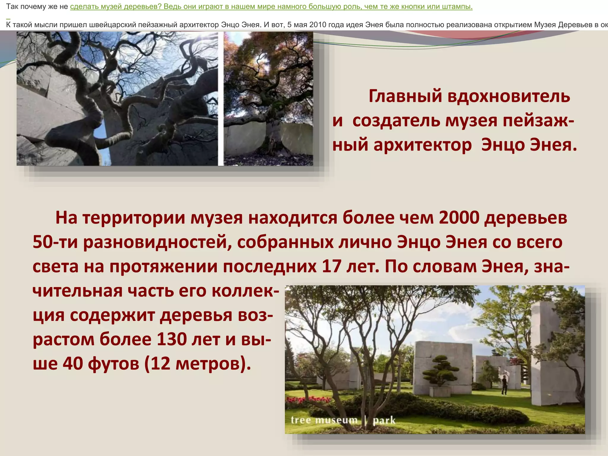 Так почему же не сделать музей деревьев? Ведь они играют в нашем мире намного большую роль, чем те же кнопки или штампы. 
К такой мысли пришел швейцарский пейзажный архитектор Энцо Энея. И вот, 5 мая 2010 года идея Энея была полностью реализована открытием Музея Деревьев в окрестностях 
Главный вдохновитель 
и создатель музея пейзаж- 
ный архитектор Энцо Энея. 
На территории музея находится более чем 2000 деревьев 
50-ти разновидностей, собранных лично Энцо Энея со всего 
света на протяжении последних 17 лет. По словам Энея, зна- 
чительная часть его коллек- 
ция содержит деревья воз- 
растом более 130 лет и вы- 
ше 40 футов (12 метров). 
 