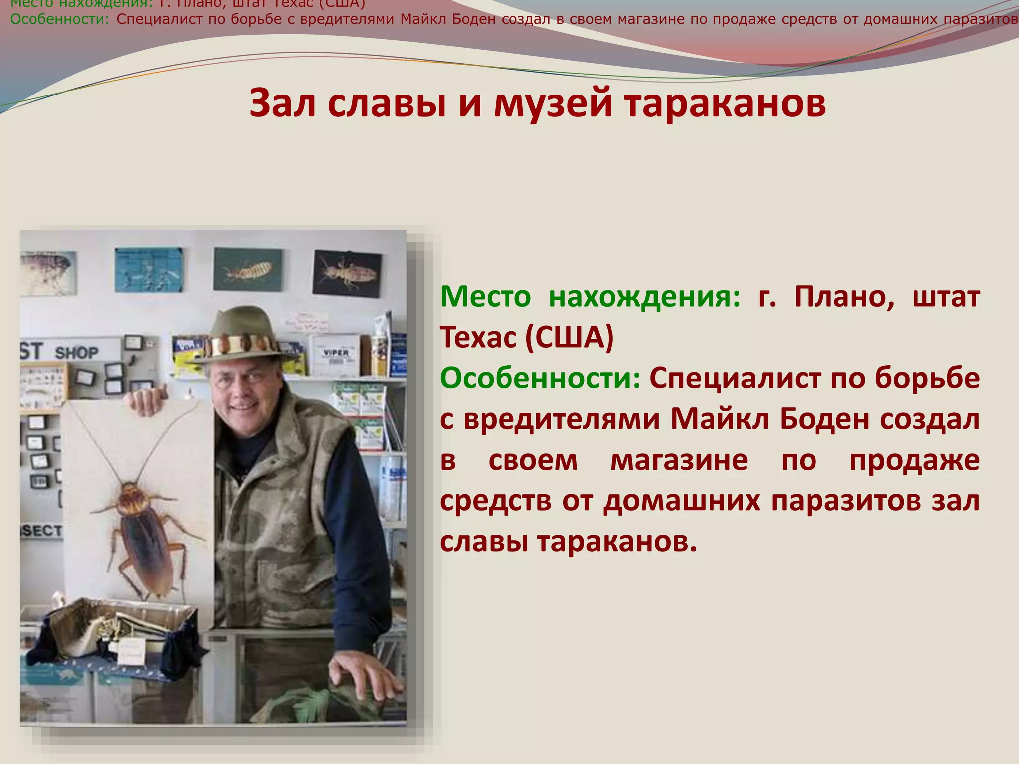 Место нахождения: г. Плано, штат Техас (США) 
Особенности: Специалист по борьбе с вредителями Майкл Боден создал в своем магазине по продаже средств от домашних паразитов Зал славы и музей тараканов 
Место нахождения: г. Плано, штат 
Техас (США) 
Особенности: Специалист по борьбе 
с вредителями Майкл Боден создал 
в своем магазине по продаже 
средств от домашних паразитов зал 
славы тараканов. 
 