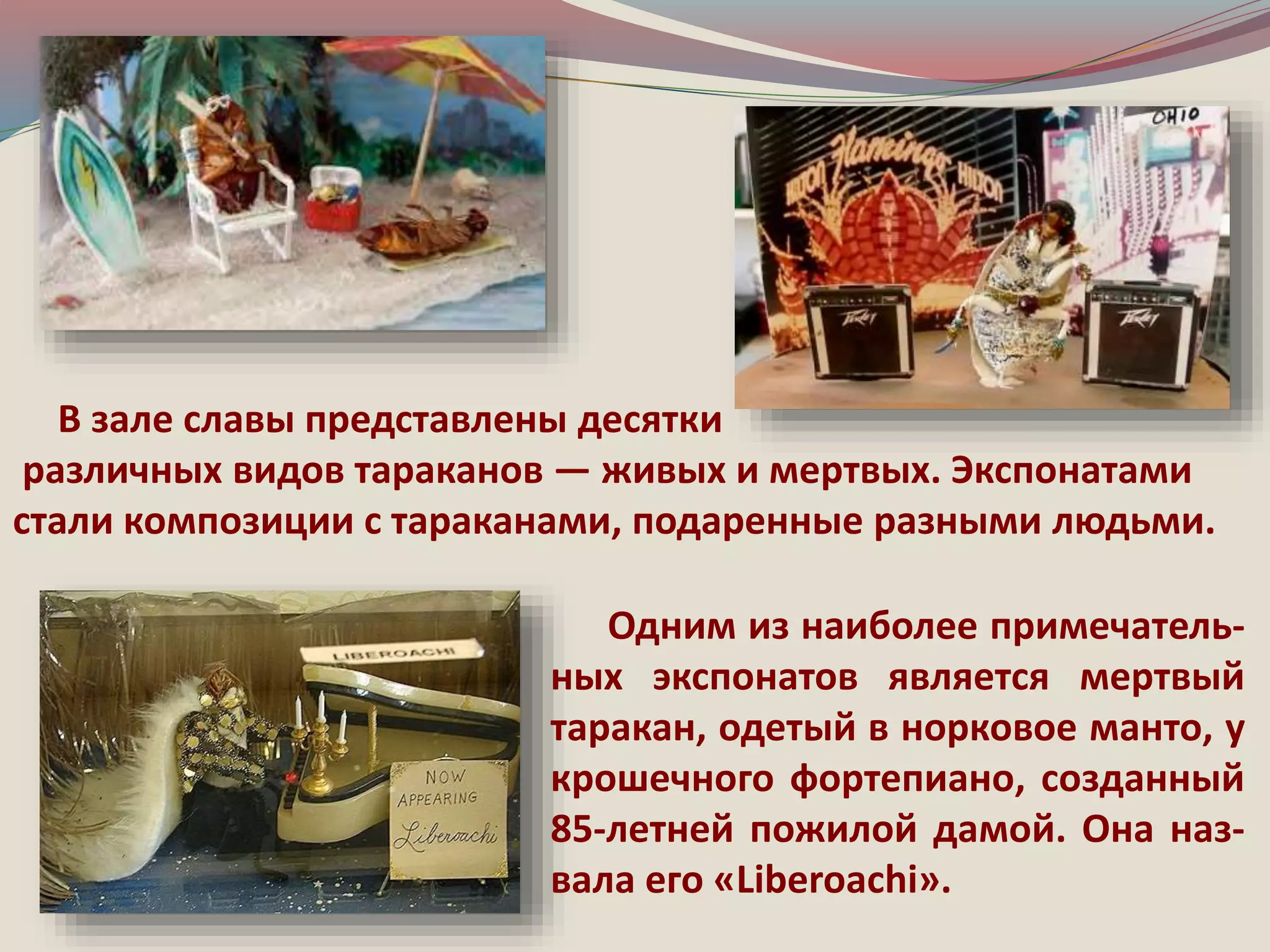В зале славы представлены десятки 
различных видов тараканов — живых и мертвых. Экспонатами 
стали композиции с тараканами, подаренные разными людьми. 
Одним из наиболее примечатель- 
ных экспонатов является мертвый 
таракан, одетый в норковое манто, у 
крошечного фортепиано, созданный 
85-летней пожилой дамой. Она наз- 
вала его «Liberoachi». 
 