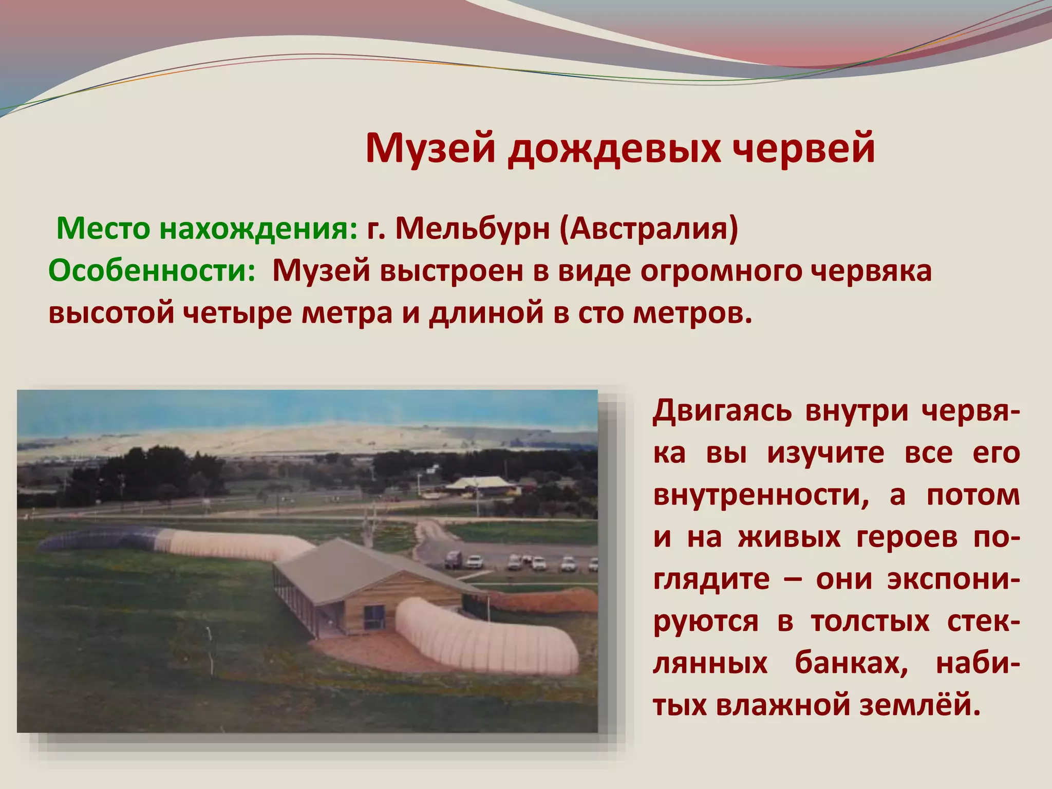 Музей дождевых червей 
Место нахождения: г. Мельбурн (Австралия) 
Особенности: Музей выстроен в виде огромного червяка 
высотой четыре метра и длиной в сто метров. 
Двигаясь внутри червя- 
ка вы изучите все его 
внутренности, а потом 
и на живых героев по- 
глядите – они экспони- 
руются в толстых стек- 
лянных банках, наби- 
тых влажной землёй. 
 