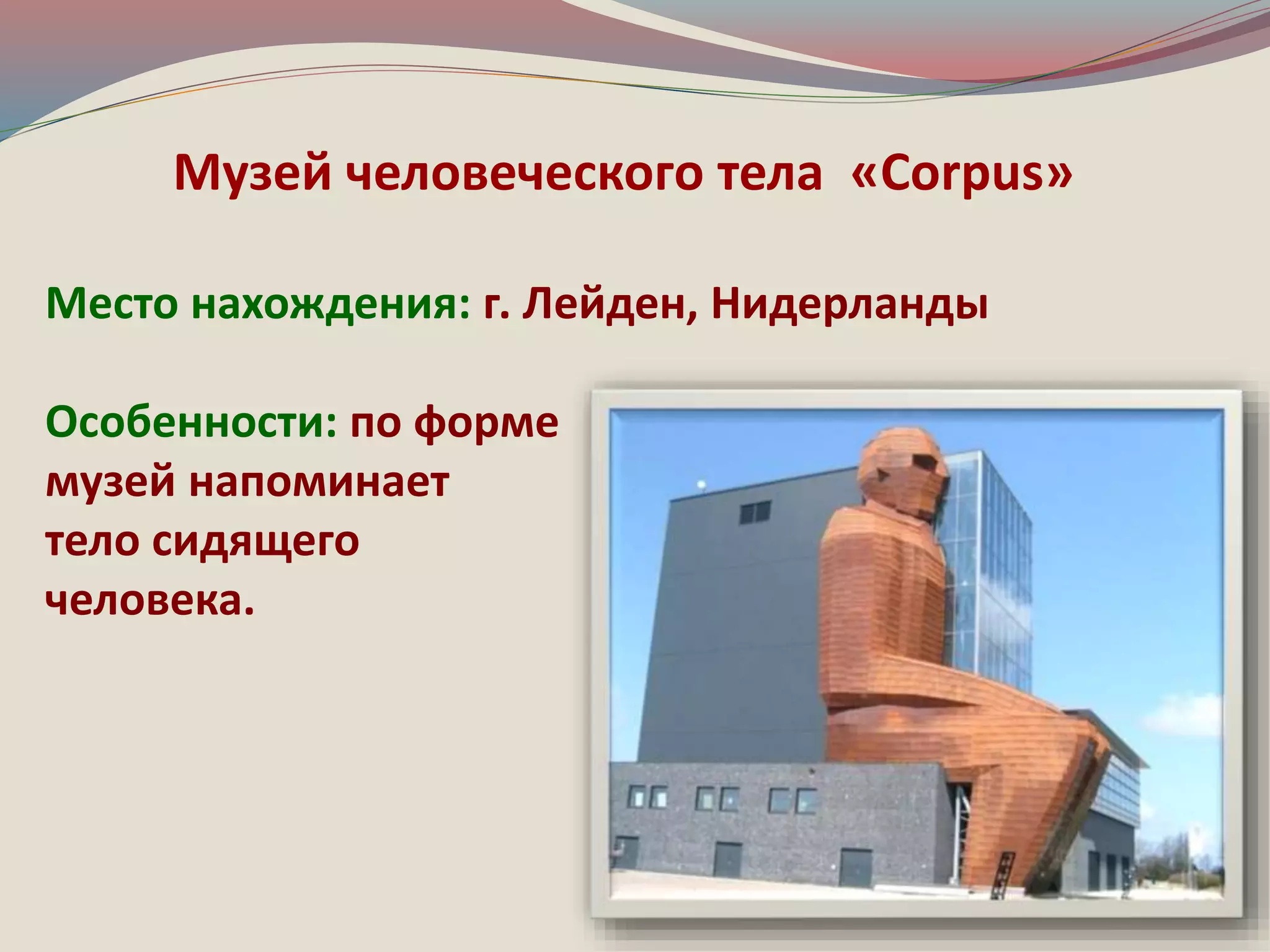 Музей человеческого тела «Соrpus» 
Место нахождения: г. Лейден, Нидерланды 
Особенности: по форме 
музей напоминает 
тело сидящего 
человека. 
 