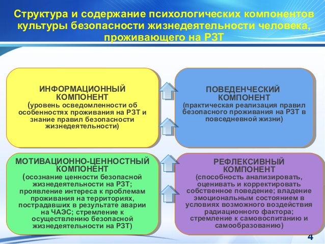 Основные пути формирования культуры безопасности жизнедеятельности в современном обществе проект