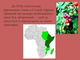 До XVII століття каву 
вирощували тільки в Східній Африці. 
Тривалий час експорт необсмажених 
зерен був заборонений — щоб не 
допустити їх вирощування на інших 
територіях. 
 
