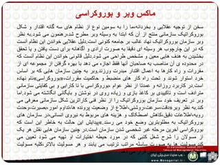 ماکس وبر و بوروکراسی 
سخن از توجیه عقلایی و بخردانه،ما را به سومین نوع از نظام های سه گانه اقتدار و شکل 
بوروکراتیک سازمانی منتج از آن که ابتدا به وسیله وبر مطرح شد،رهنمون می شود.به نظر 
وبر سازمان بوروکراتیک نهاد غالب بر جامعه کنونی است.دلیل عقلایی خواندن این نظام آنست 
که در این چارچوب هر وسیله ای دقیقا به صورت ارادی و آگاهانه برای دست یافتن و یا تحقق 
بخشیدن به هدف هایی معین و مشخص طراحی می شود.دلیل قانونی خواندن این نظام آنست که 
در محدوده ی آن مناصب به صاحبان آنها فقظ اجازه می دهد با بهره گرفتن از مجموعه ای از 
مقررات و راه کارها به اعمال اقتدار مبدرت ورزند.وبر به چنین سازمان هایی که بر اساس 
نام نهاده » بوروکراسی «، خرد استوار شوند و تحت راه کار های منضبط و حاکمیت مقررات 
است.در کاربرد روزانه و عمدتا از نظر عوام ،بوروکراسی با نا کارایی و بی کفایتی سازمانی 
مترادف است و تاکییدی بر کاغذ بازی و زیاده روی در نوشتن و بایگانی انگاشته می شود.اما 
وبر در تعریف خود سازمان بوروکراتیک را از نظر فنی کاراترین شکل سازمانی معرفی می 
دقت،سرعت،روشنی،اطلاع از وضعیت پرونده ها،تداوم امور،بصیرت،وحدت « کند.به نظر وبر 
رویه،اطلاعات دقیق،کاهش اصطکاک و هزینه های مربوط به نیروی انسانی،در سازمان های 
پیدایش این حالت به خاطر این است که ». بوروکراتیک به مطلوبترین وضع خود می رسند 
بوروکراسی آخرین مرحله غبر شخصی شدن سازمان است.در چنین سازمان هایی نقش هر یک 
از مسولان را شرح شغل کتبی که در مورد حیطه اختیارات او تهیه می شود تعیین می 
کند.مسولیت ها به صورت ساسله مراتب ترتیب می یابند و هر مسولیت بالاتر،کلیه مسولیت 
های پایین تر را تحت پوشش قرار می دهد. 
 