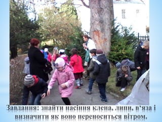 урок  в саду