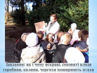 урок  в саду